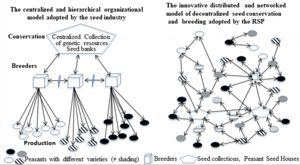 Commoning the seeds: alternative models of collective action and open innovation within French peasant seed groups for recreating local knowledge c...
