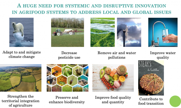 SUPPORTING TRANSITION IN AGRI-FOODSYSTEMS: A TOOL-BOX TO ENHANCE OPEN INNOVATION - INDISS 2021