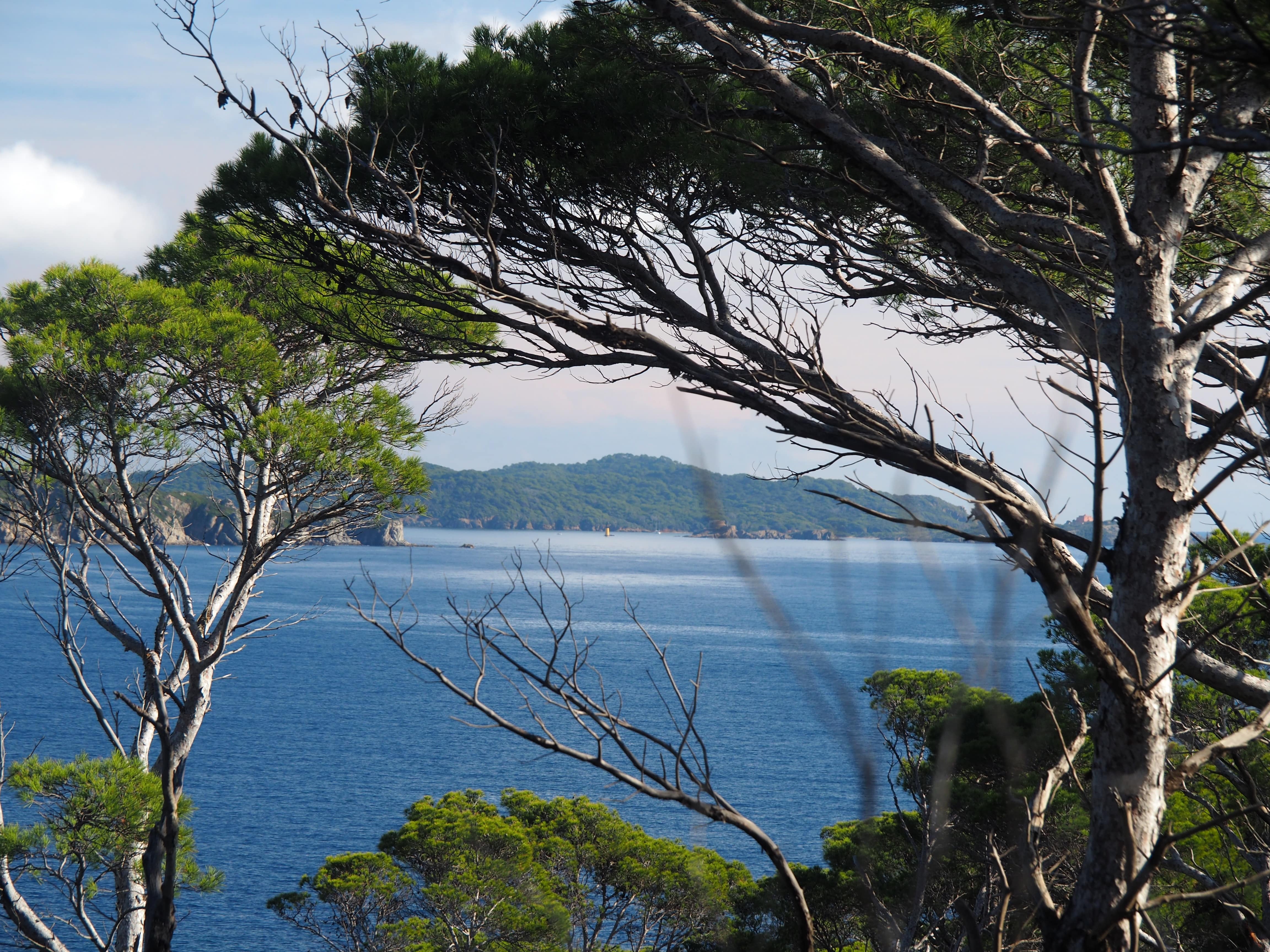Quel impact a la politique bois-énergie en Provence-Alpes-Côte d’Azur?
